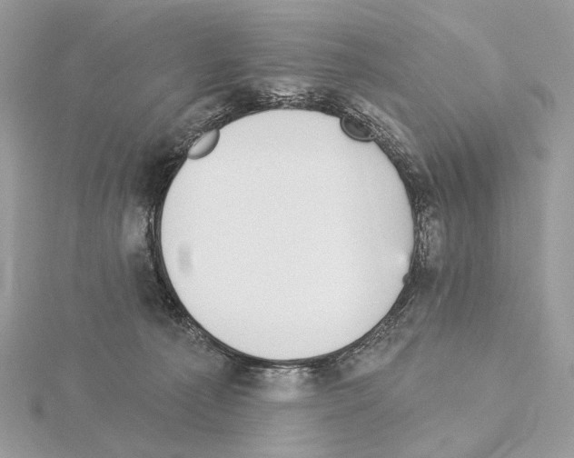 X0000115050225200912071137