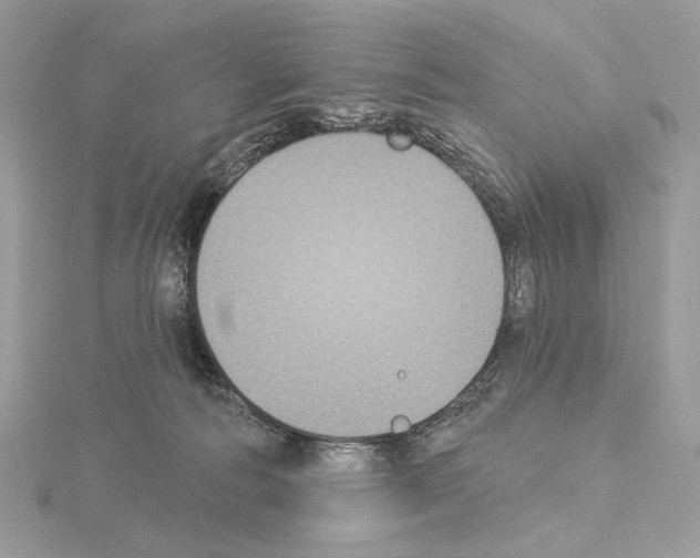 X0000115050226200912071137