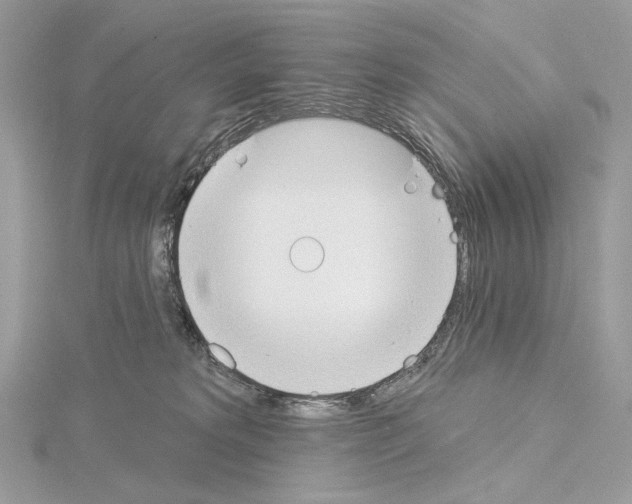 X0000115050229200912071137