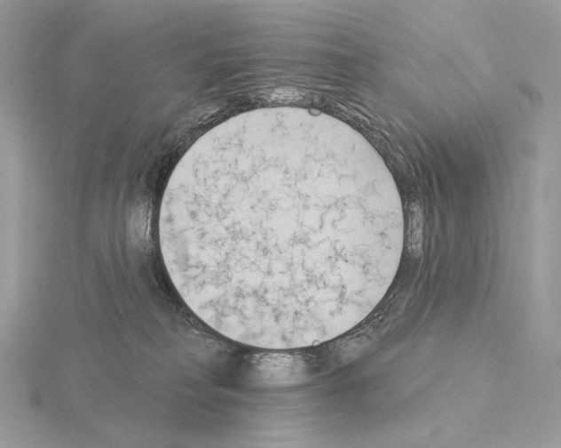 X0000115050230200912071137