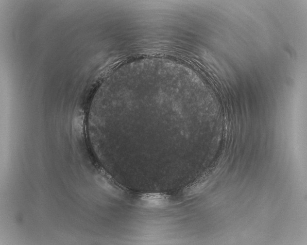 X0000115050231200912071137