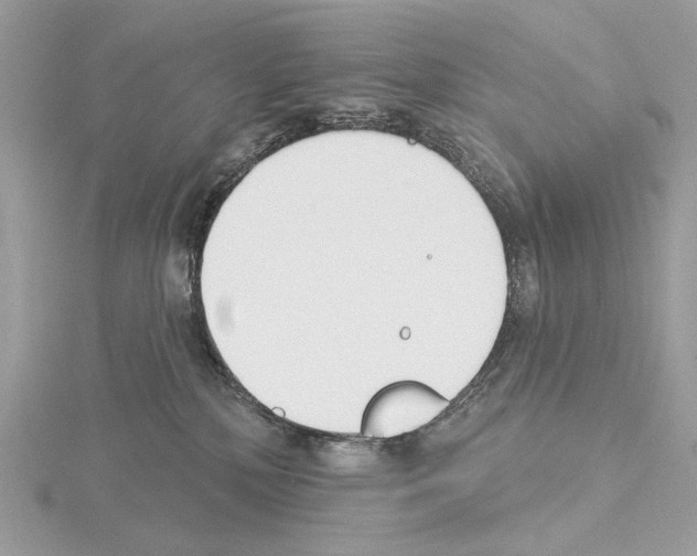 X0000115050232200912071137