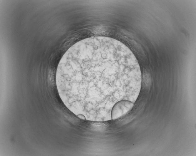 X0000115050234200912071137