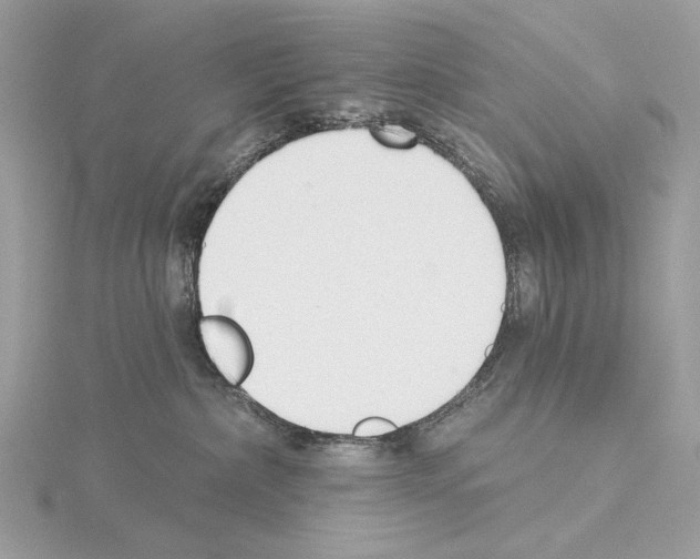 X0000115050236200912071137