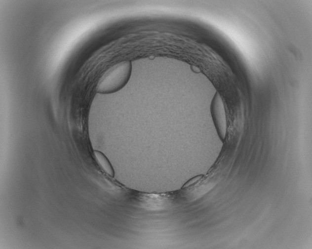 X0000115050239200912071137