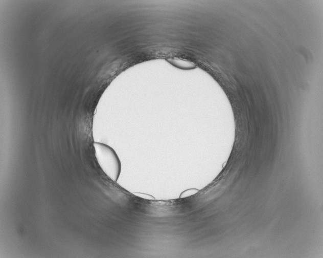 X0000115050240200912071137