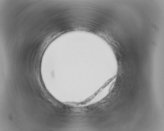 X0000115050241200912071136