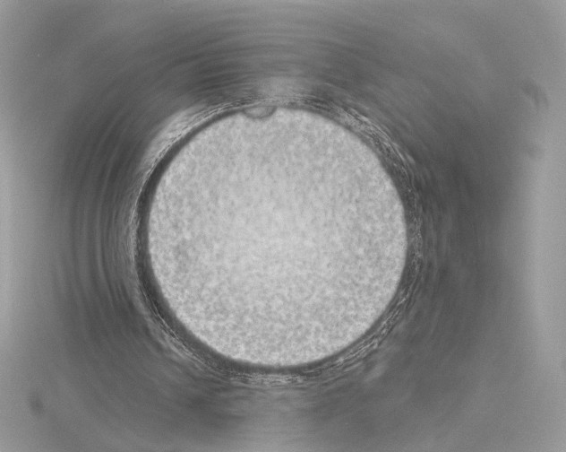 X0000115050242200912071136