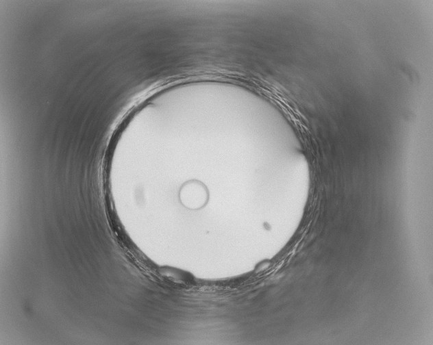 X0000115050244200912071136