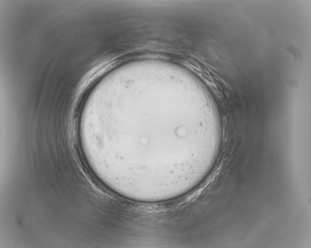 X0000115050245200912071136