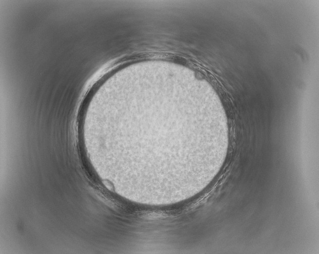 X0000115050246200912071136