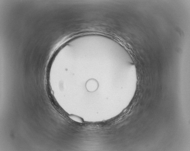 X0000115050248200912071136