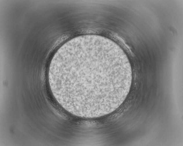 X0000115050250200912071136