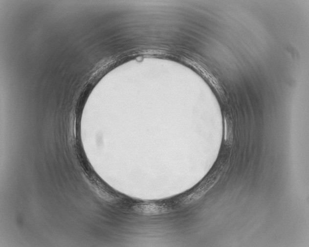 X0000115050253200912071136