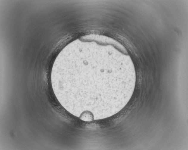 X0000115050258200912071136