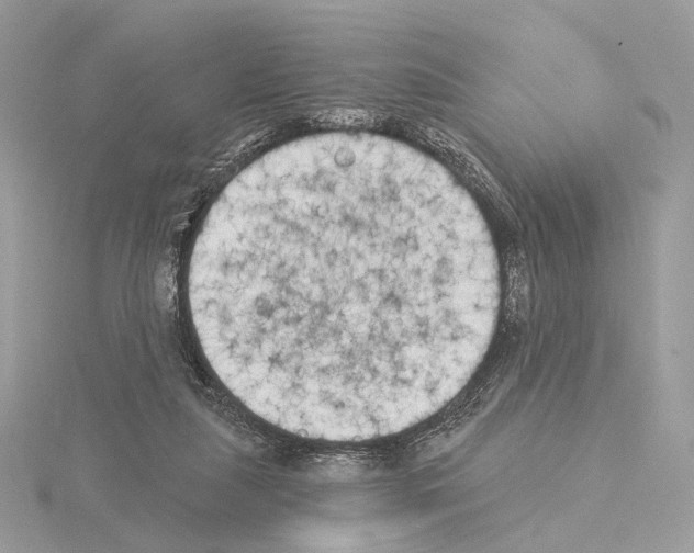 X0000115050259200912071136