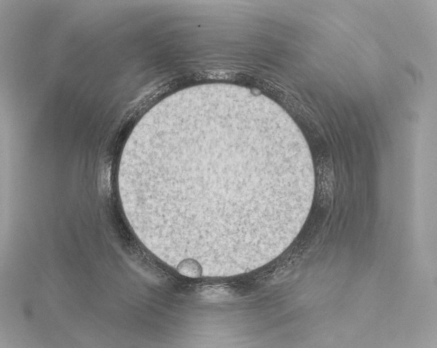 X0000115050262200912071136