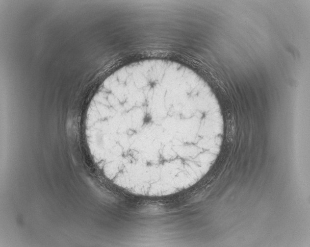 X0000115050263200912071136