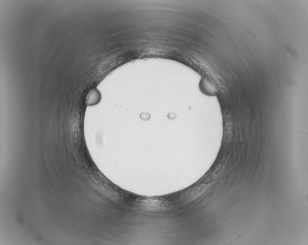 X0000115050265200912071136