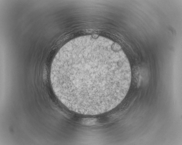 X0000115050266200912071136