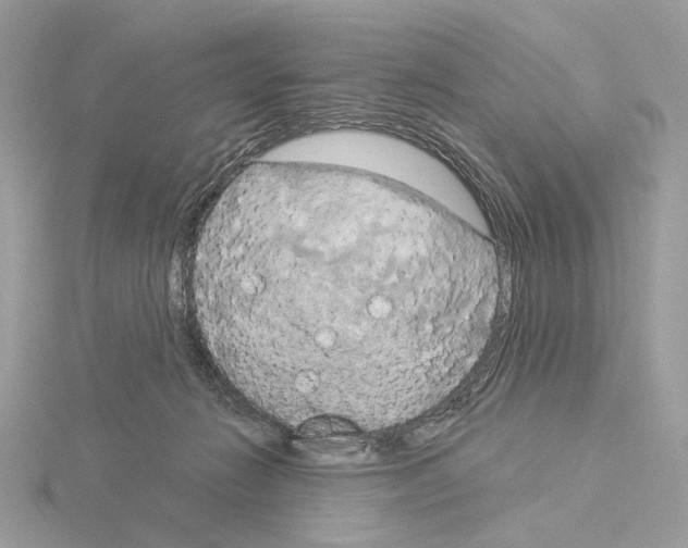 X0000115050270200912071136