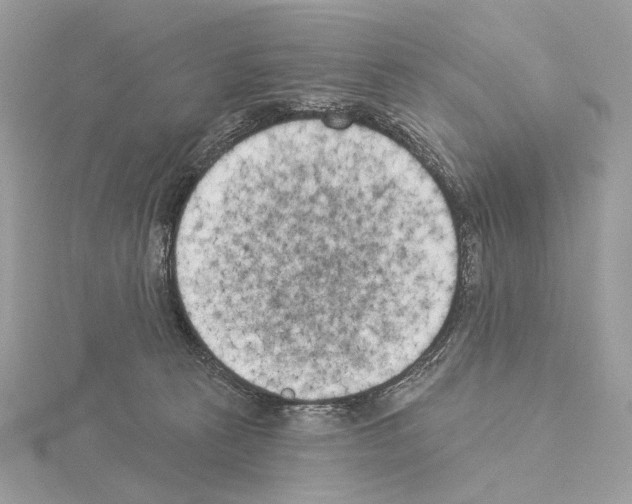 X0000115050273200912071137