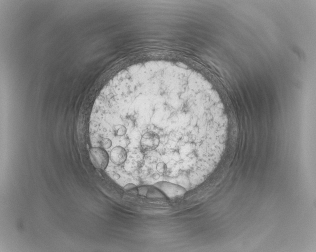 X0000115050275200912071137