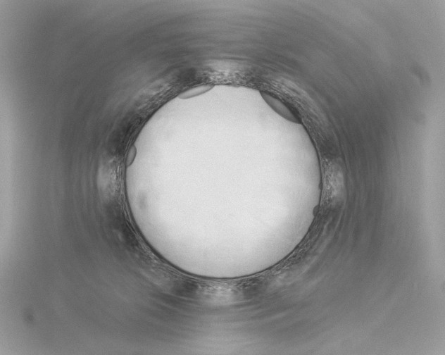 X0000115050276200912071137