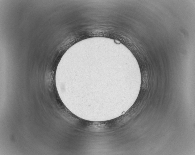 X0000115050278200912071137