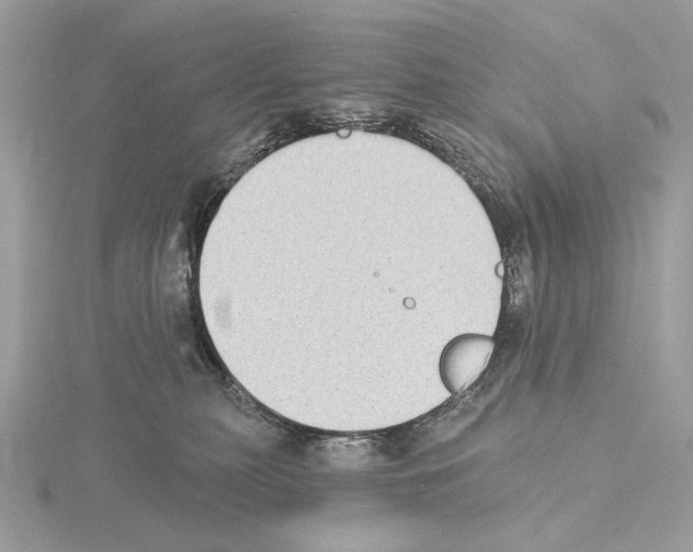 X0000115050279200912071137