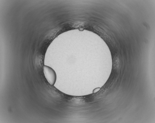 X0000115050280200912071137