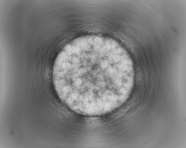 X0000115050281200912071137