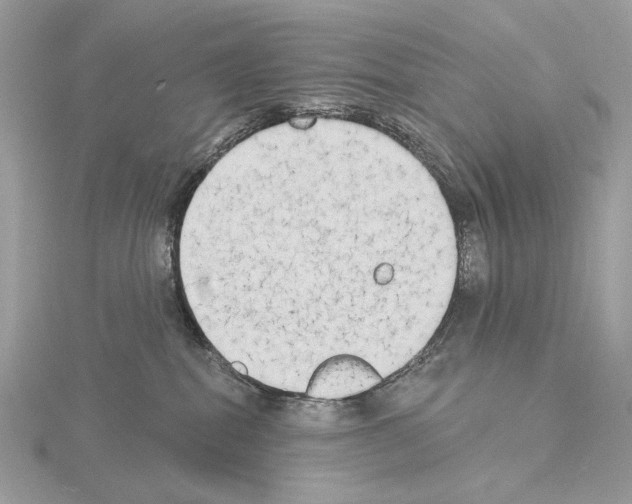 X0000115050282200912071137