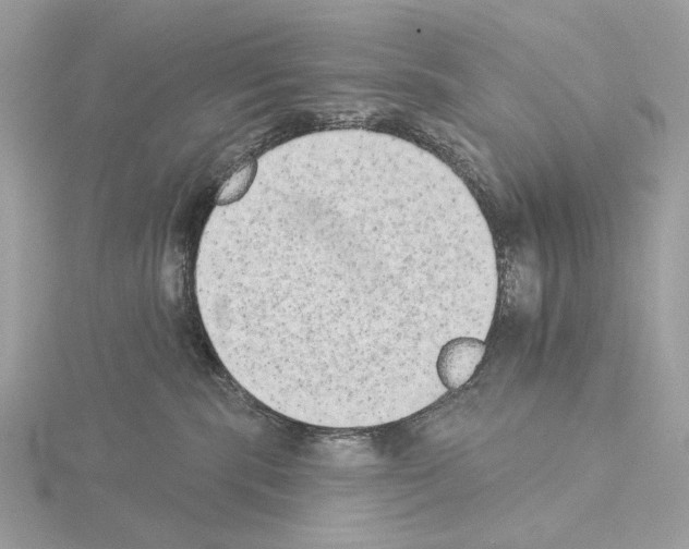 X0000115050283200912071137