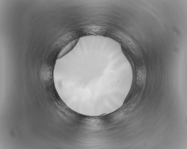 X0000115050284200912071137