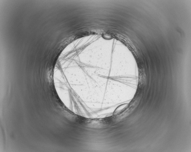 X0000115050285200912071137