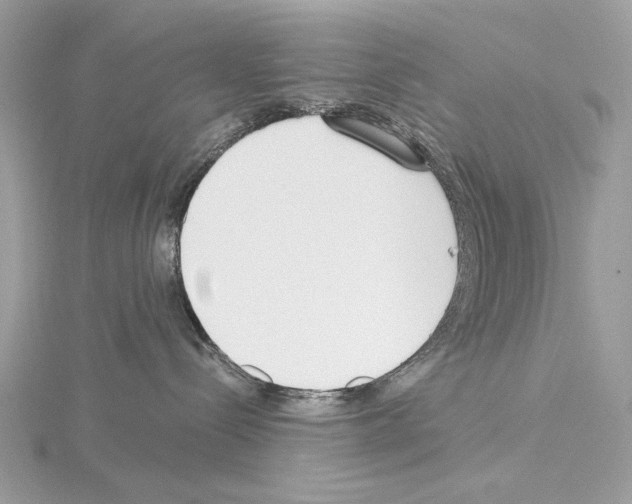 X0000115050288200912071137