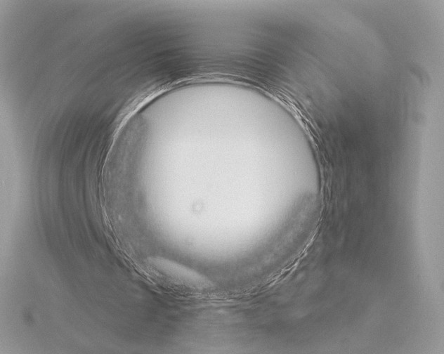 X0000115050289200912071136