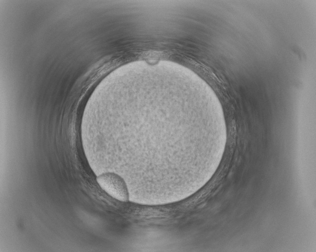 X0000115050290200912071136