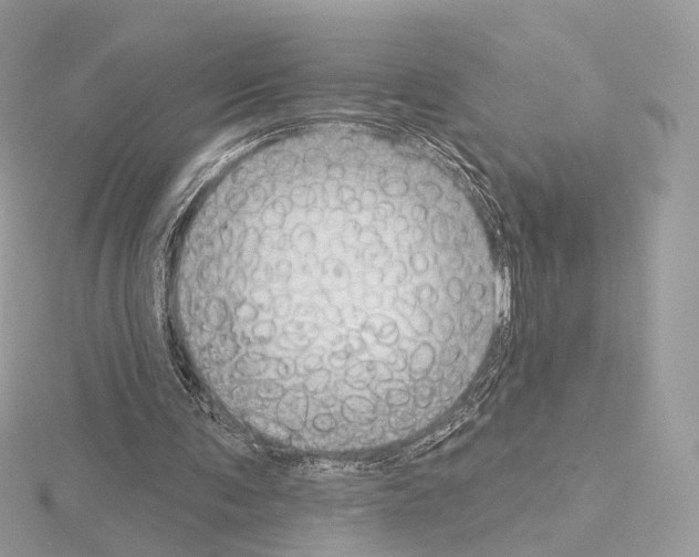 X0000115050291200912071136