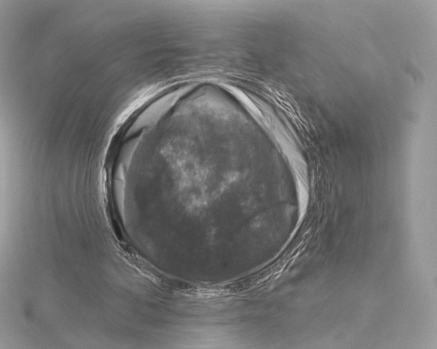 X0000115050292200912071136