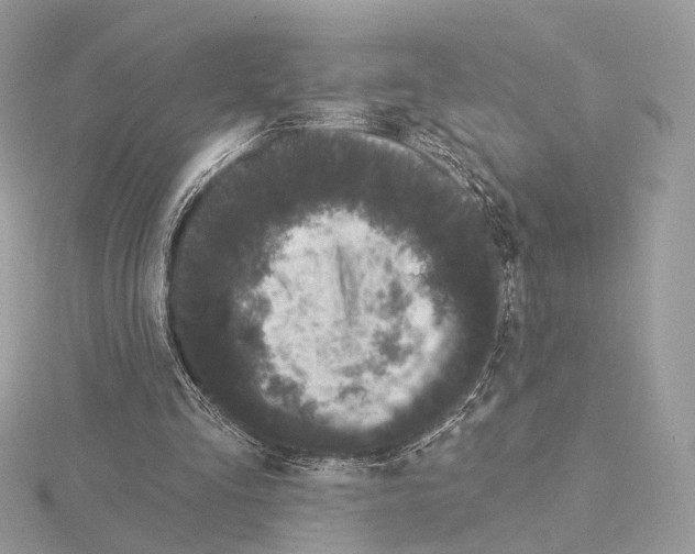 X0000115050293200912071136