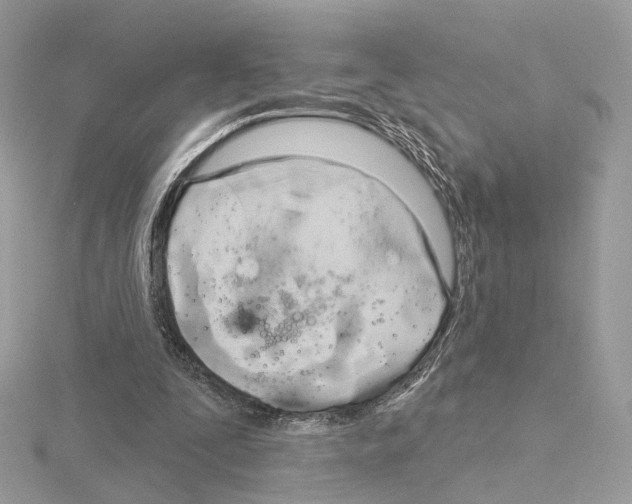 X0000115050295200912071136