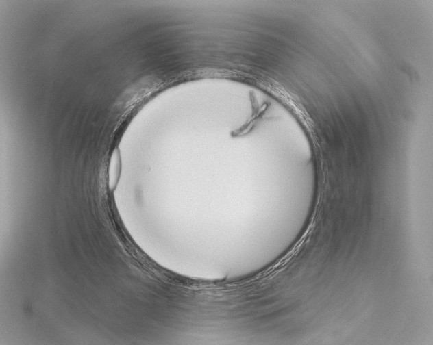 X0000115050297200912071136