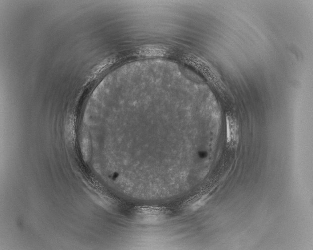 X0000115050300200912071136