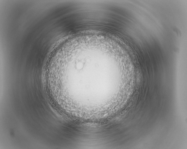 X0000115050302200912071136