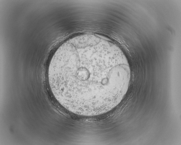 X0000115050303200912071136