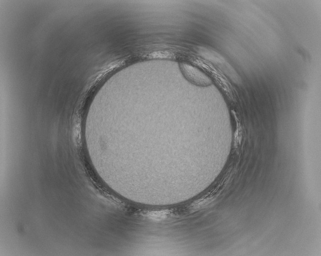 X0000115050306200912071136