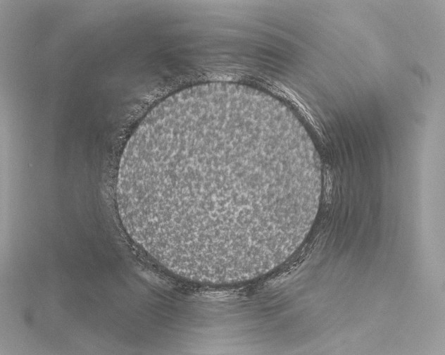 X0000115050307200912071136