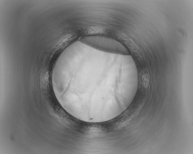 X0000115050308200912071136